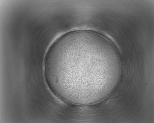 X0000059821416200511041708