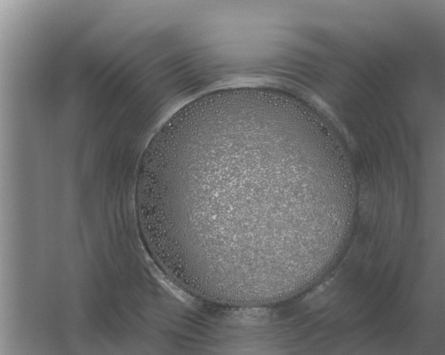 X0000059821417200511041708