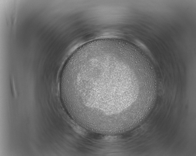 X0000059821419200511041708