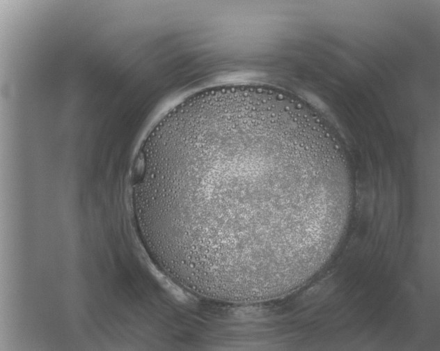 X0000059821421200511041708