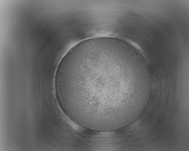 X0000059821423200511041708