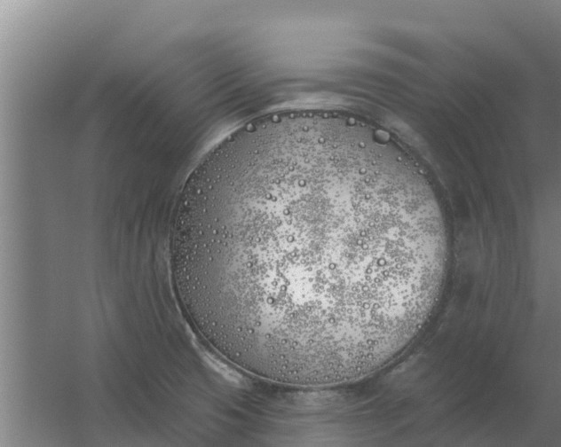 X0000059821425200511041708