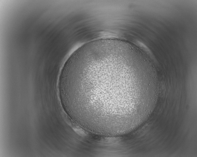 X0000059821427200511041708