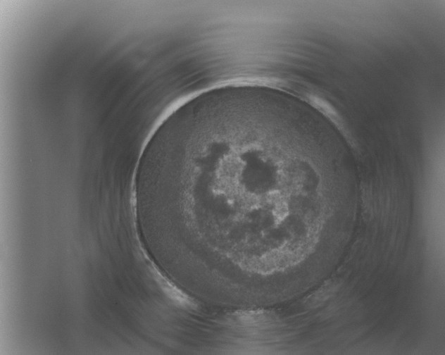 X0000059821428200511041708