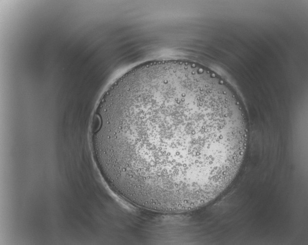 X0000059821429200511041708