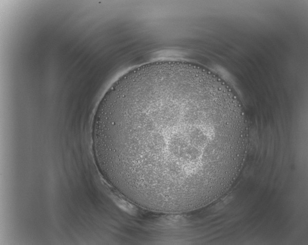 X0000059821435200511041708