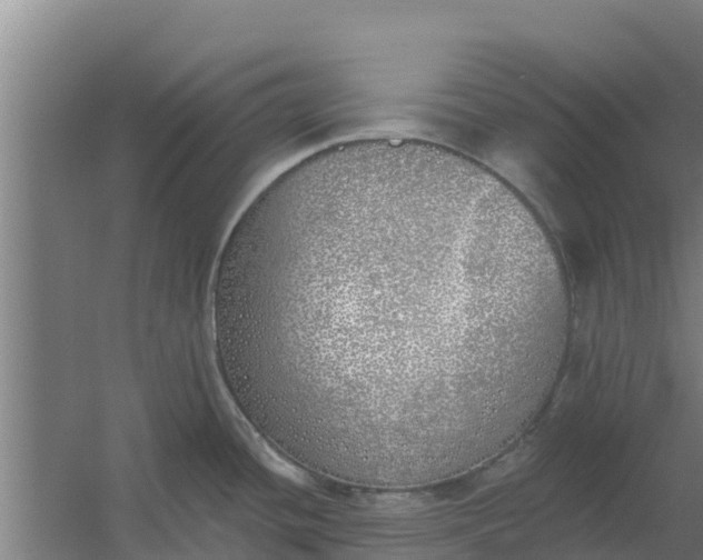 X0000059821436200511041708