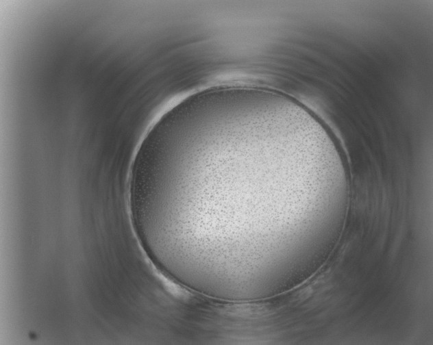 X0000059821437200511041708