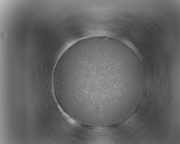 X0000059821439200511041708