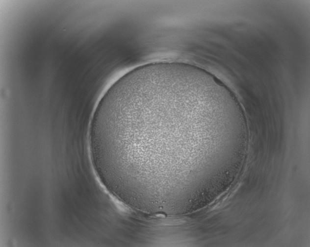 X0000059821440200511041708