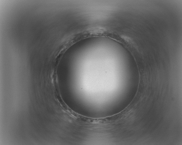 X0000059821445200511041707