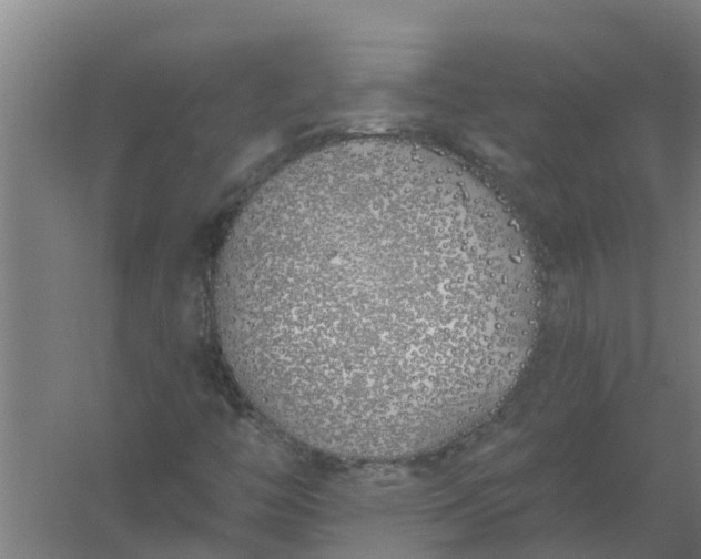 X0000059821446200511041707