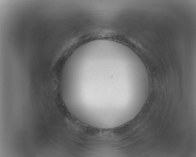 X0000059821447200511041707