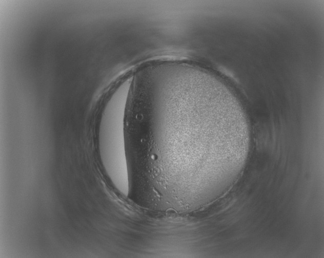 X0000059821448200511041707