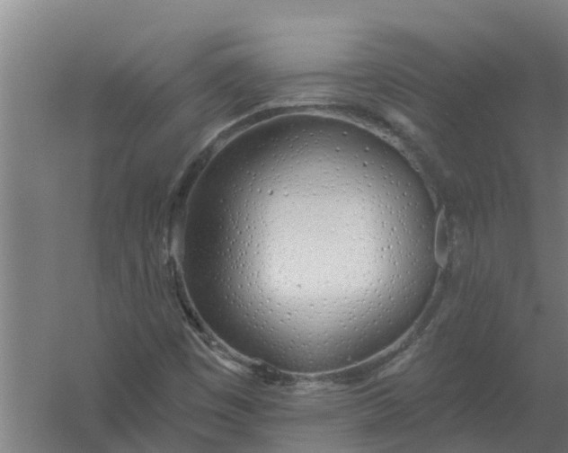 X0000059821449200511041707