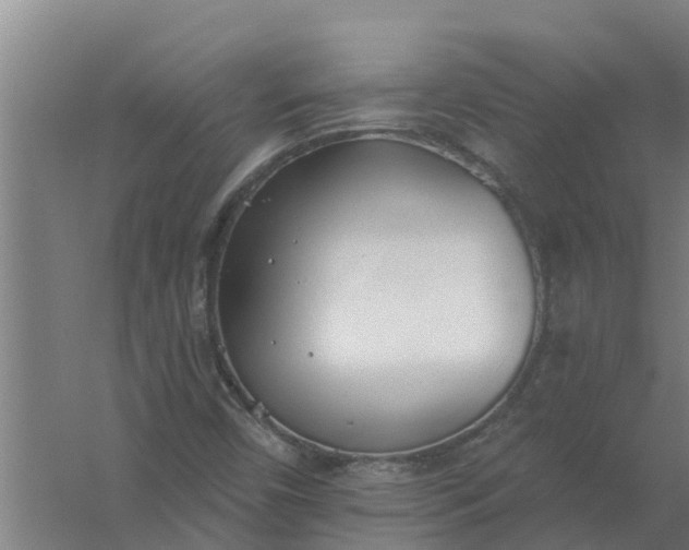 X0000059821450200511041707