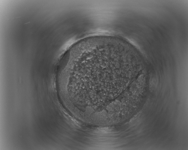 X0000059821455200511041707