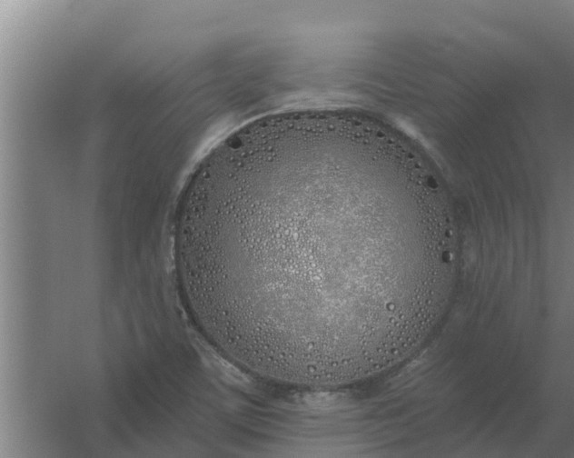 X0000059821459200511041707