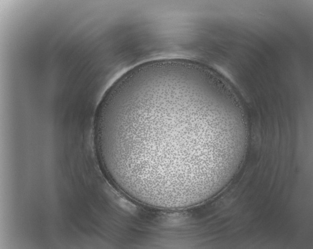 X0000059821460200511041707