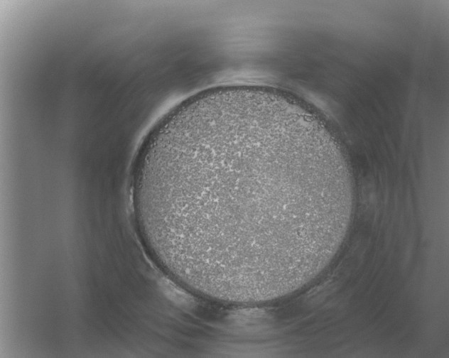 X0000059821462200511041707