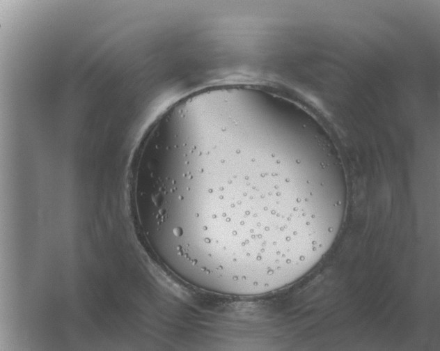 X0000059821463200511041707