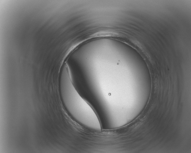 X0000059821465200511041707