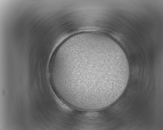 X0000059821466200511041707