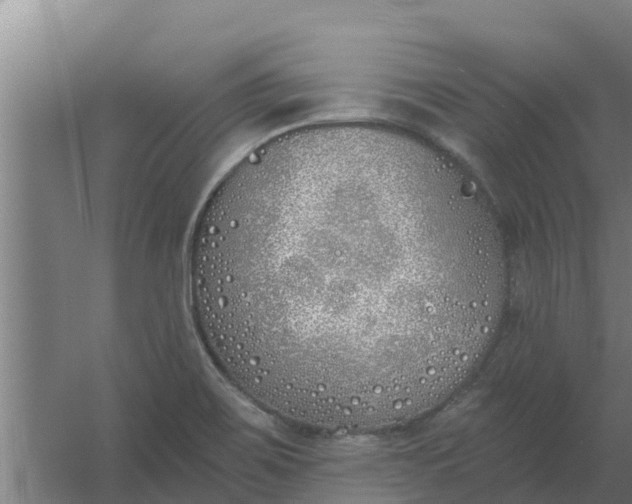 X0000059821467200511041707