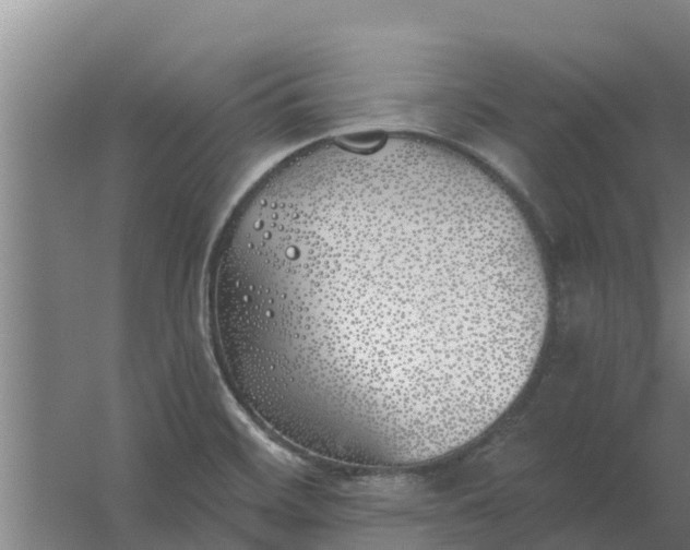 X0000059821468200511041707