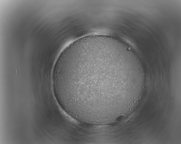 X0000059821471200511041707