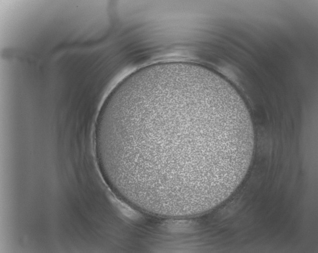 X0000059821474200511041707