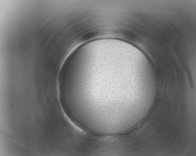 X0000059821476200511041707