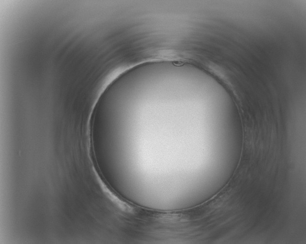 X0000059821479200511041707