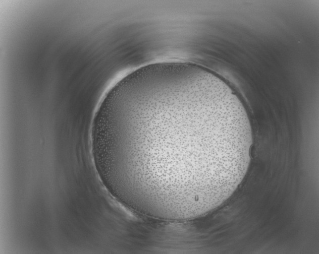 X0000059821480200511041707