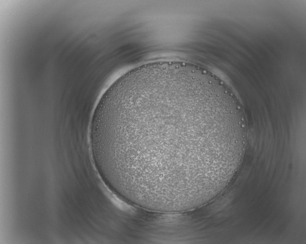 X0000059821482200511041706