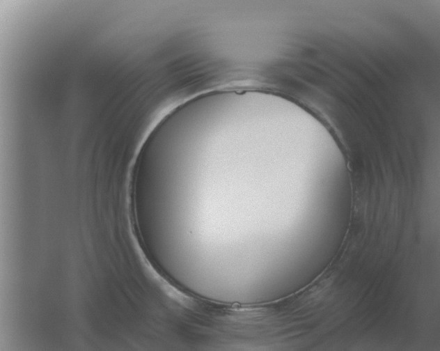 X0000059821483200511041706