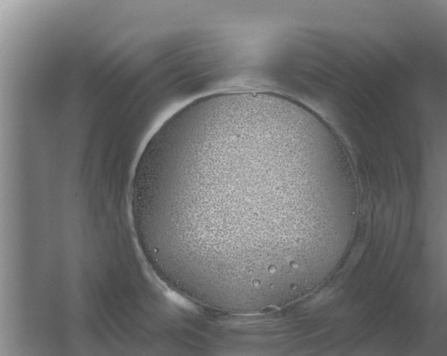 X0000059821486200511041706