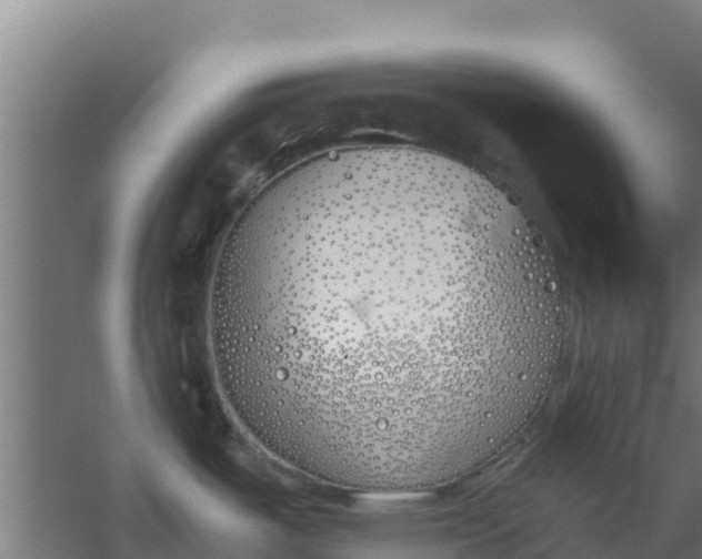 X0000059821487200511041706