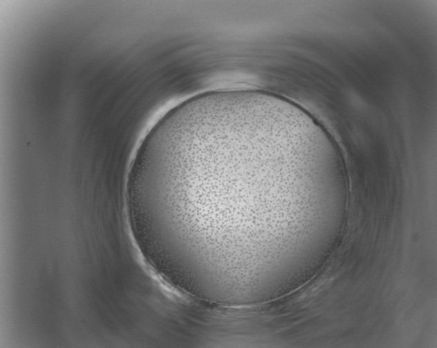 X0000059821488200511041706