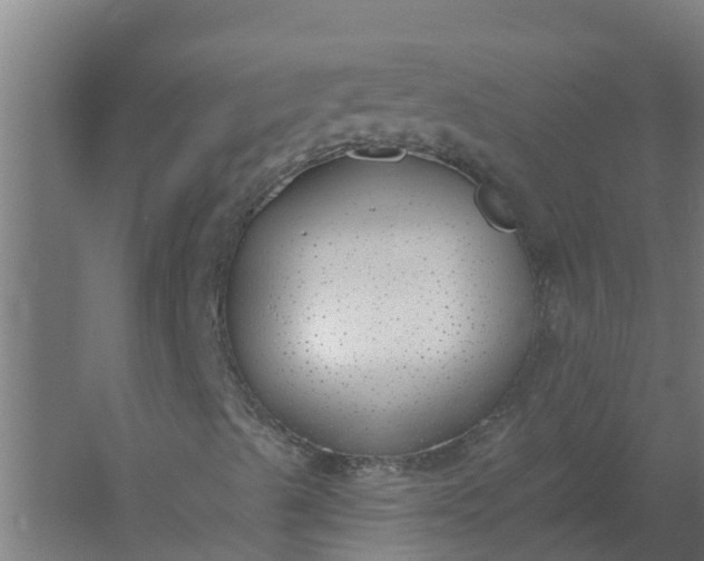 X0000059821489200511041706