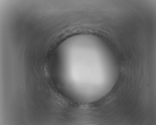 X0000059821490200511041706