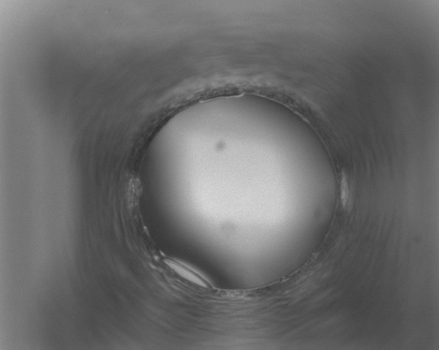 X0000059821492200511041706