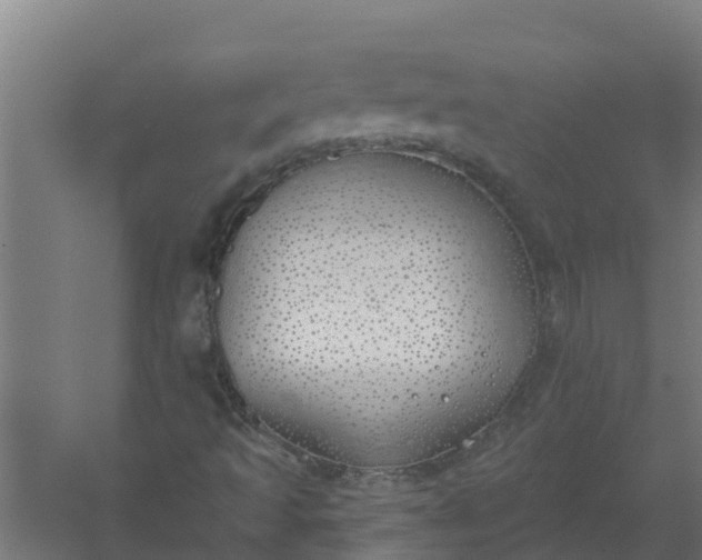 X0000059821493200511041706