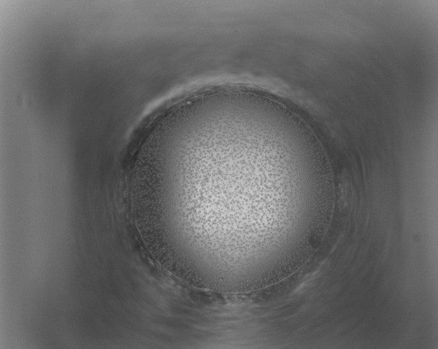 X0000059821494200511041706