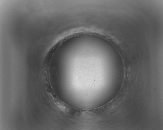 X0000059821496200511041706