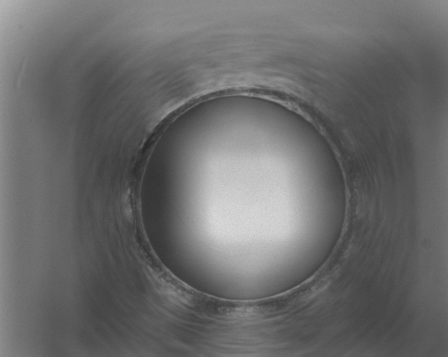 X0000059821497200511041706