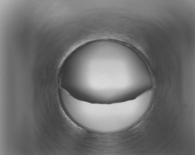 X0000059821500200511041706