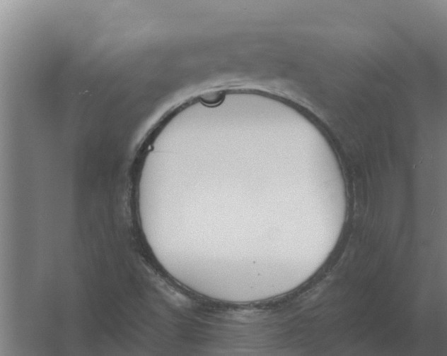 X0000059821502200511041706