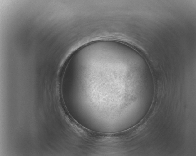 X0000059821506200511041706