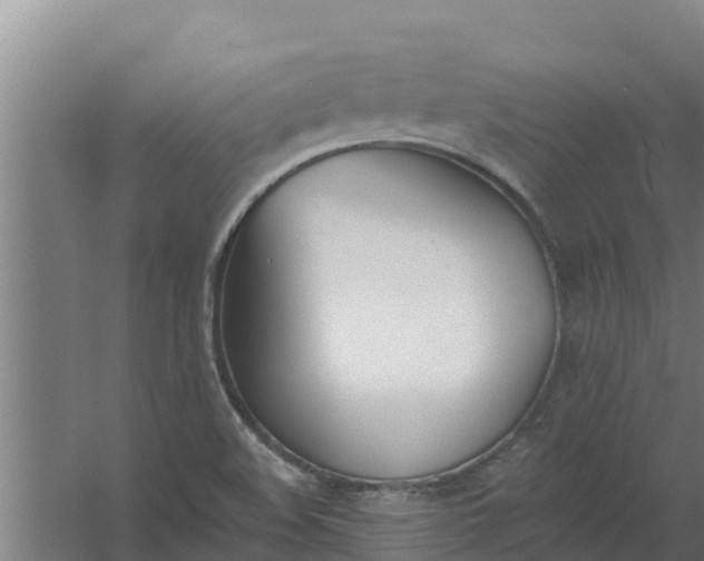 X0000059821508200511041706